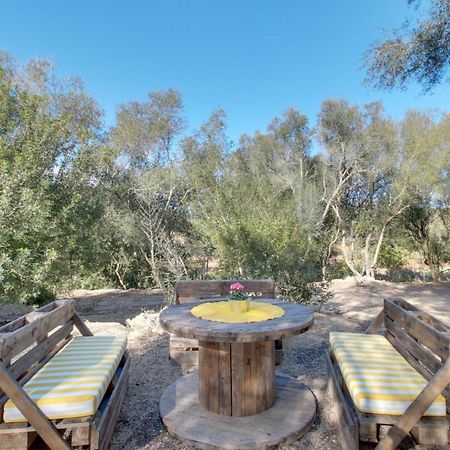 Finca S'Erissal De Costitx Kültér fotó