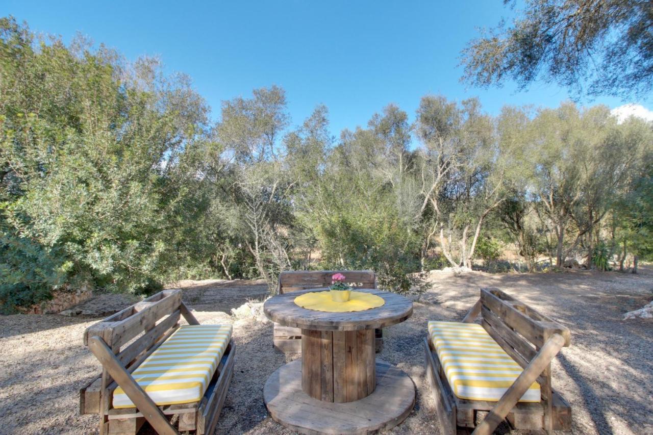 Finca S'Erissal De Costitx Kültér fotó